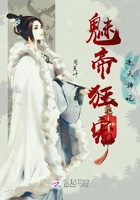 魅帝狂宠逆天神妃